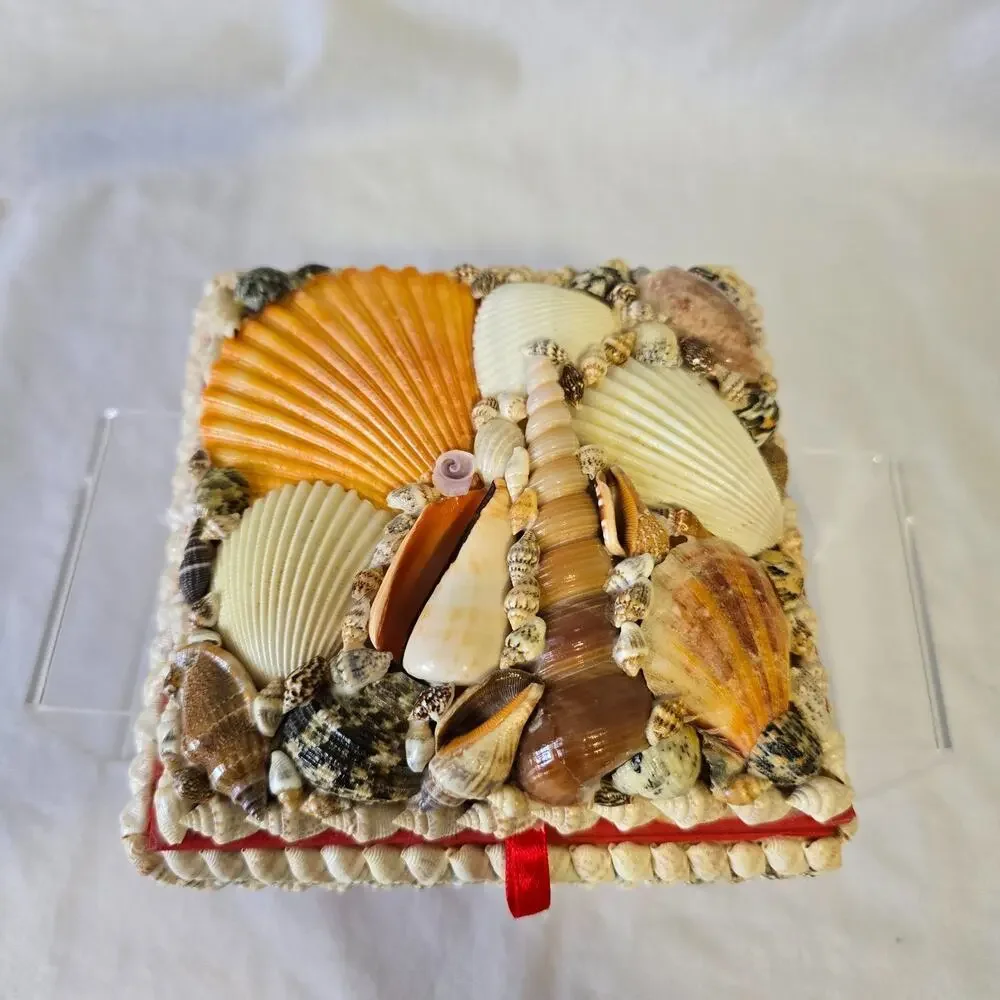 Shell Trinket Box Embellished Decorative Seashells 5.5